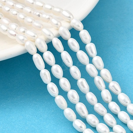 Natural Cultured Freshwater Pearl Beads Strands PEAR-I007-01P-05-1