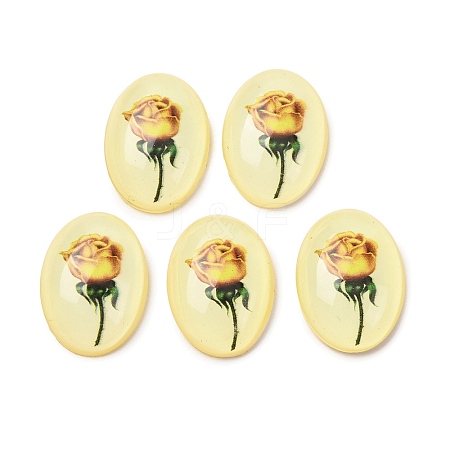 Transparent Resin Cabochons RESI-K033-11B-1