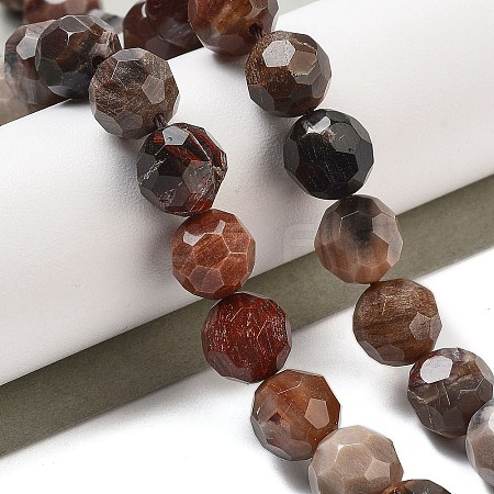 Natural Petrified Wood Beads Strands G-C150-B01-02-1