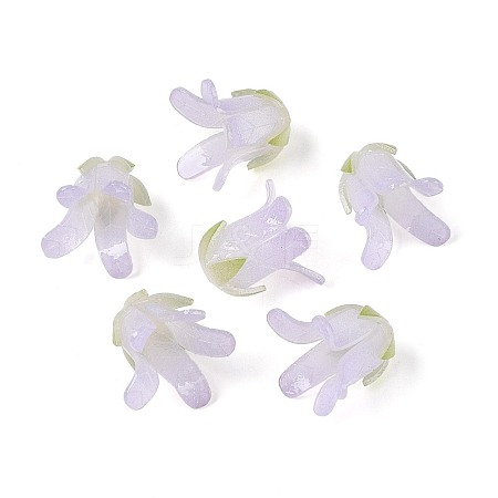 Heat Shrink Acrylic Bead Caps OACR-N155-04C-1