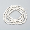 Natural Spiral Shell Beads Strands BSHE-I011-11C-2