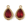 Ion Plating(IP) 304 Stainless Steel Micro Pave Cubic Zirconia Charms STAS-K256-20G-07-1
