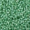 TOHO Round Seed Beads SEED-JPTR08-PF2103-2