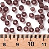 Glass Seed Beads SEED-A008-4mm-M16-3