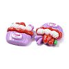 Opaque Resin Cake Decoden Cabochons LS-CRES-A051-01C-3