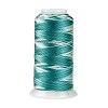 Segment Dyed Round Polyester Sewing Thread OCOR-Z001-A-07-1