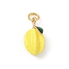 Brass Enamel Pendants KK-H523-01A-G-1