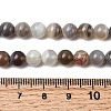 Natural Botswana Agate Beads Strands G-H334-A01-01-5