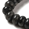Natural Larvikite Beads Strands G-G102-C03-01-4