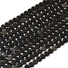 Natural Obsidian Beads Strands G-M403-A41-02-2