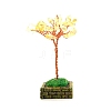 Citrine Flower Garden Crushed Stone Fortune Tree Ornaments Mini Home Creative Office Decoration Crafts Small Ornaments PW-WG4CBFE-05-1