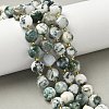 Natural Tree Agate Beads Strands G-U023-A15-01-1