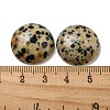 Natural Dalmatian Jasper Cabochons G-C115-02A-21-3