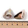 Natural Shiva Eye Shell Beads SHEL-K009-17E-3