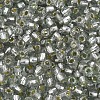Silver Lined Glass Seed Beads SEED-T007-18A-03-3