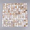 Natural Freshwater Shell Mosaic Tile Cabochons SHEL-Q029-05A-1