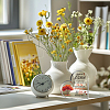 Acrylic Decoration DJEW-WH0591-003-5