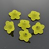 Transparent Acrylic Beads PL560-7-2