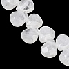 Natural Quartz Crystal Beads Strands G-T006-15-4