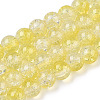 Transparent Crackle Baking Painted Glass Beads Strands DGLA-T003-01A-15-1