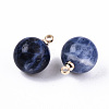 Natural Sodalite Charms G-N332-024G-08-2