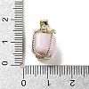 Natural Kunzite Gift Box Charms G-P523-01G-04-3