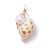 Natural Shell Pendants PALLOY-JF03226-4