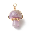 Natural Amethyst Pendants PALLOY-JF01134-05-1