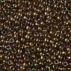 TOHO Round Seed Beads X-SEED-TR08-0459-2