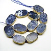 Oval Natural Sodalite Beads Strands G-N0119-01-1