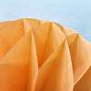 Paper Honeycomb Ball AJEW-WH0003-20cm-05-1