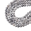 Natural Map Stone/Picasso Stone/Picasso Jasper Beads Strands G-AR0002-17-1