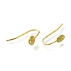 304 Stainless Steel Earring Hooks LS-STAS-B087-09A-G-2