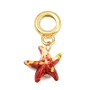 Brass Resin European Dangle Charms KK-CBA3642-01G-2