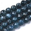 Natural Apatite Beads Strands G-N327-03A-02-1