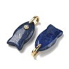 Dyed Natural Lapis Lazuli Pendants G-A297-01G-19-2