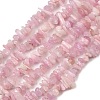Natural Kunzite Beads Strands G-P597-A01-01-2