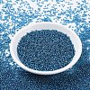 MIYUKI Round Rocailles Beads SEED-G007-RR0025-2