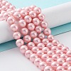 Shell Pearl Bead Strands X-BSHE-L025-06-8mm-5