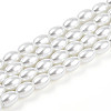 Baking Paint Pearlized Glass Pearl Bead Strands X-HY-T002-01A-01-3