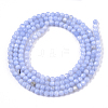 Natural Freshwater Shell Beads Strands X-BSHE-T009-01B-2