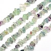 Natural Fluorite Chip Bead Strands G-M205-08-1