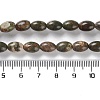 Natural Multi-Color Agate Beads Strands G-I369-B14-01-5