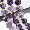 Natural Amethyst Beads Strands G-P592-B10-01-1