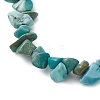 Natural Howlite Anklets AJEW-AN00592-04-3