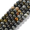 Natural Hawk's Eye Beads Strands G-E483-20-8mm-AB-1