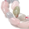 Natural Morganite Beads Strands G-Q1004-01B-3
