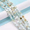 Natural Freshwater Shell Beads Strands SHEL-H002-03-4