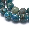 Natural Apatite Beads Strands G-I254-08C-5