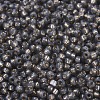 MIYUKI Round Rocailles Beads SEED-JP0008-RR0650-3